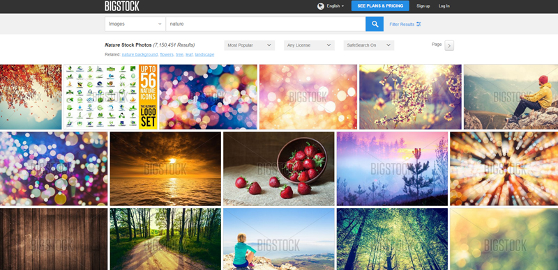 bigstock-search-results-page